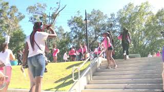 2024 Making Strides Walk at Cascades Park Tallahassee FL [upl. by Honniball]