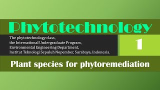 Phytotechnology class 1 Adri Sulthan Ervandi phytotechnology environment [upl. by Brade]