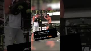 Vasiliy Lomachenko Training MMA 🔥 boxing [upl. by Auqinimod]