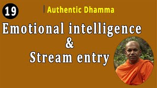 19 Emotional intelligence amp Stream entry [upl. by Humphrey]