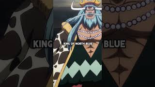 What If Straw Hats Fight Blackbeard Pirates  One Piece  onepiece shorts [upl. by Rebekah]