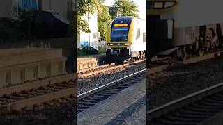 ⚠️🚃RE7 nach BadenBaden in Bühl trainspotting train nahverkehr [upl. by Anitsirhk]