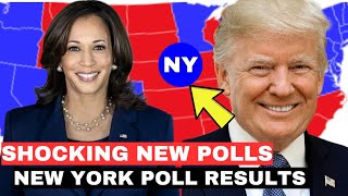 6 Latest New York poll results Donald Trump vs Kamala Harris 2024 US Election [upl. by Aisya]