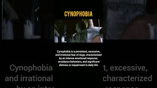 Cynophobia newchannel movie physiotharapy supportme fearofdog comedy fear cynophobia phobia [upl. by Aniweta]