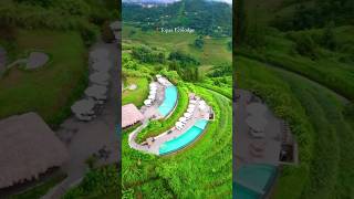 Topas Ecolodge Sapa thangbomdaily dulichsapa dulichvietnam topasecolodge [upl. by Brenk]