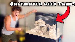 I Bought NEW SALTWATER Aquariums for My FISH ROOM [upl. by Alrahc]