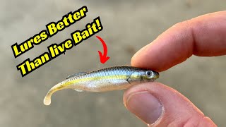 These Minnow Lures Are Better Than Live Bait [upl. by Ahseia]