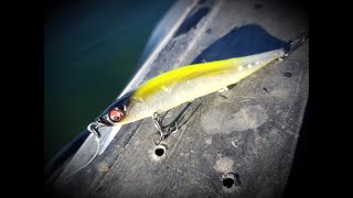 Megabass Ito Vision 110 Jr [upl. by Ilellan]