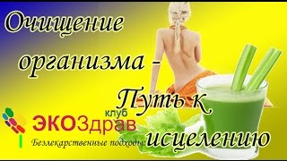 Гуреева Ольга  Очищение организма Путь к исцелению [upl. by Aryam39]