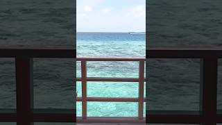 Maldives Water Villa [upl. by Rickie319]