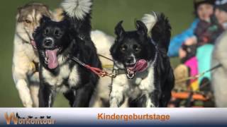 Workontour Schalkau  Schlittenhunde Thüringen Husky Schlittenfahrt Kindergeburtstag Sonneberg [upl. by Arraet]