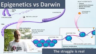 Epigenetics Darwin is rolling in his grave [upl. by Adnarrim]