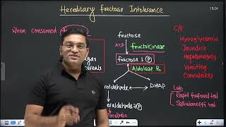 Fructose Metabolism in 3 Min  Hereditary fructose intolerance Clinical case discussion [upl. by Iphlgenia]