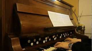 Harmonium Schiedmayer 2 manual [upl. by Nivlen]