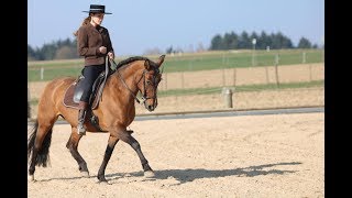 Garrocha trainingFantastica [upl. by Dublin]