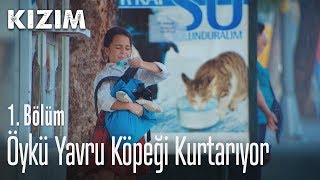 Öykü yavru köpeği kurtarıyor  Kızım 1Bölüm [upl. by Gothart]