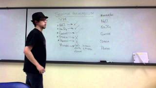 Lab Review  Selective Permeability Unit 7 Diffusion [upl. by Apollo732]