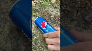 Survival Bushcraft Skills Pepsi Botol Egg 🤯camping outdoors bushcraft survival skills shorts [upl. by Gneh]