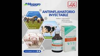 Flumixin Life Analgésico antiinflamatorio y antipirético Megagro [upl. by Pelagias178]