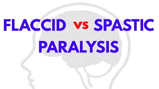 FLACCID vs SPASTIC PARALYSIS  CNS PHYSIOLOGY  NEUROPHYSIOLOGY [upl. by Tacy]