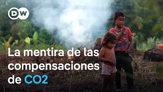 De la reforestación a la compensación de CO2 los sucios trucos de las empresas  DW Documental [upl. by Drawdesemaj]