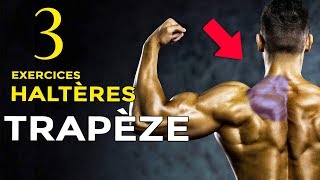 3 EXERCICES HALTÈRES POUR SE MUSCLER LES TRAPÈZES EN MUSCULATION [upl. by Faunie]