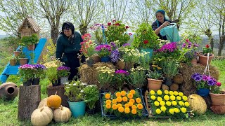 PRIMAVERA COM TODAS AS FLORES Na Nossa Vila Vovó Cozinhando Pilaf De Carne E Baklava [upl. by Nisay140]