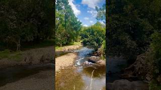 Kalindi River  Kerala India new shorts river viralvideo trending youtube nature kalindi [upl. by Travus]