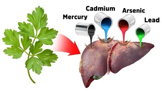 The Best Strategy for Detoxifying Heavy Metals SAFELY [upl. by Gilleod]