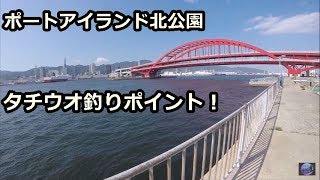 ポートアイランド北公園でタチウオ釣り！釣果の上がるポイント解説！ [upl. by Aimahc206]