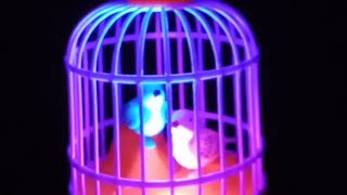 MINI Bird Cage unboxingTOYs ASMR [upl. by Froma]