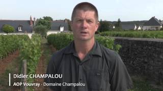 Domaine Champalou Vouvray [upl. by Antonina976]