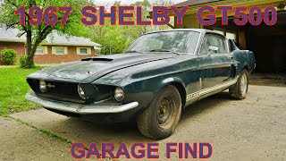 1967 Shelby GT500 Garage Find and Documentation [upl. by Willow328]