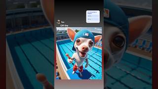 Chihuahua Jumps Off Diving Board GamerChadPlays memes [upl. by Alecia]