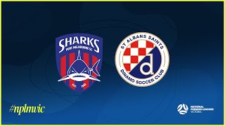 2024 NPLMVIC Round 1 Port Melbourne Sharks SC v St Albans Saints SC [upl. by Anne614]