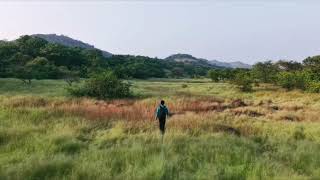 Kharghar Forest Area 🏕️  Navi Mumbai  Unseen Place  Awesome Location [upl. by Eybbob874]