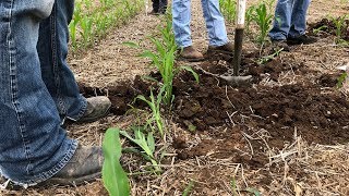 NRCS Soil Health Training [upl. by Nyrrek]