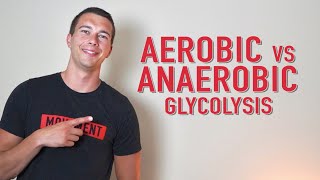 Aerobic vs Anaerobic Glycolysis  What is Lactate [upl. by Redna]