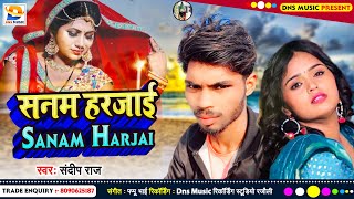 सनम हरजाई  Sandeep Raj का दर्द भरा मगही गीत  Sanam Harjai  Maghi Sad Song  Bewafai Song 2023 [upl. by Novyak]