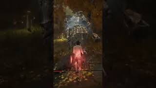 Draconic Tree Sentinel No Hit strategy For the full guide check out my TikTok CovenantCollector [upl. by Hanoy]