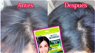 Cómo retocar las canas  Retocador de Raíces Garnier Nutrisse [upl. by Analrahc193]