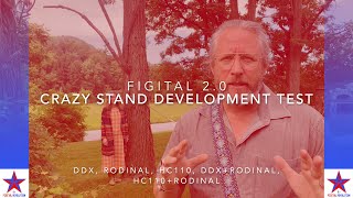 Crazy Stand Development Test [upl. by Bjork]