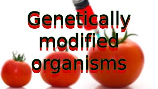 Are GMOs dangerous The truth is revealed [upl. by Kessiah]