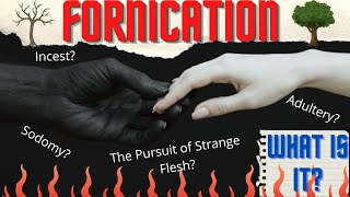 Biblical Marriage  What is Fornication [upl. by Oiliruam]