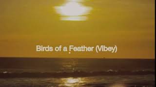 Birds of a Feather Vibey  Official Audio  Sunset Party [upl. by Polish]