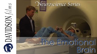 The Emotional Brain An Introduction to Affective Neuroscience a preview Davidson Films Inc [upl. by Suirred436]