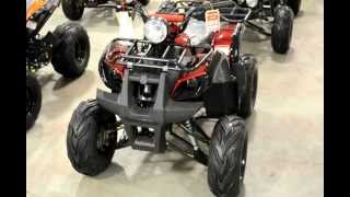 125cc Youth Utility ATV for Kids with free Shipping [upl. by Ahsiym632]