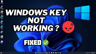 FIX Windows Key Not Working  Problem in Windows 11  2024 [upl. by Marrilee701]