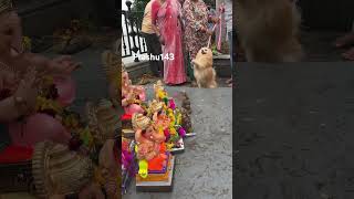 Small dog stopping nimarjjanum of Ganesh￼ VinayakChoti 2024 Trending Viral Dog BappaGanpati [upl. by Machute]