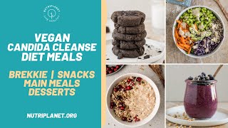 Vegan Candida Cleanse Diet Recipes and Meals for a Day [upl. by Aerdnaxela]